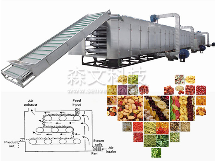 DWC series dehydrated vegetable belt dryer
