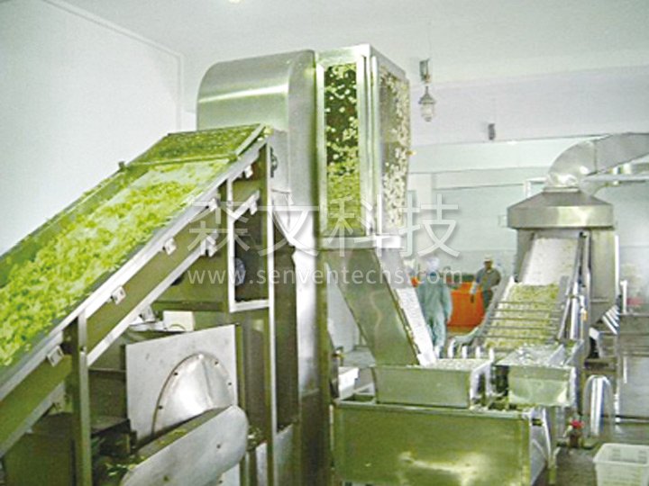 DWC series dehydrated vegetable belt dryer