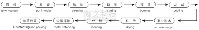 脱水蔬菜带式干燥工艺流程